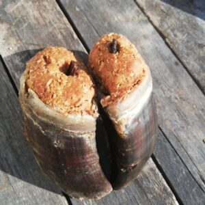 Boredom Buster Hooves