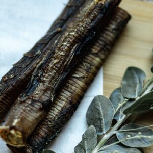 Ostrich Trachea